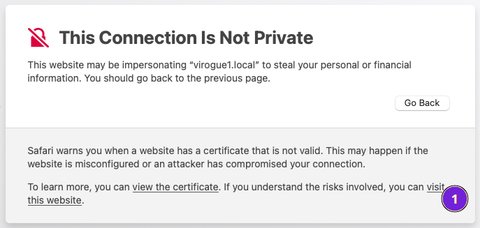 Safari accept security warning details