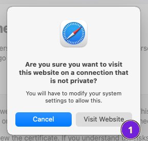 Safari accept (bis) security warning details